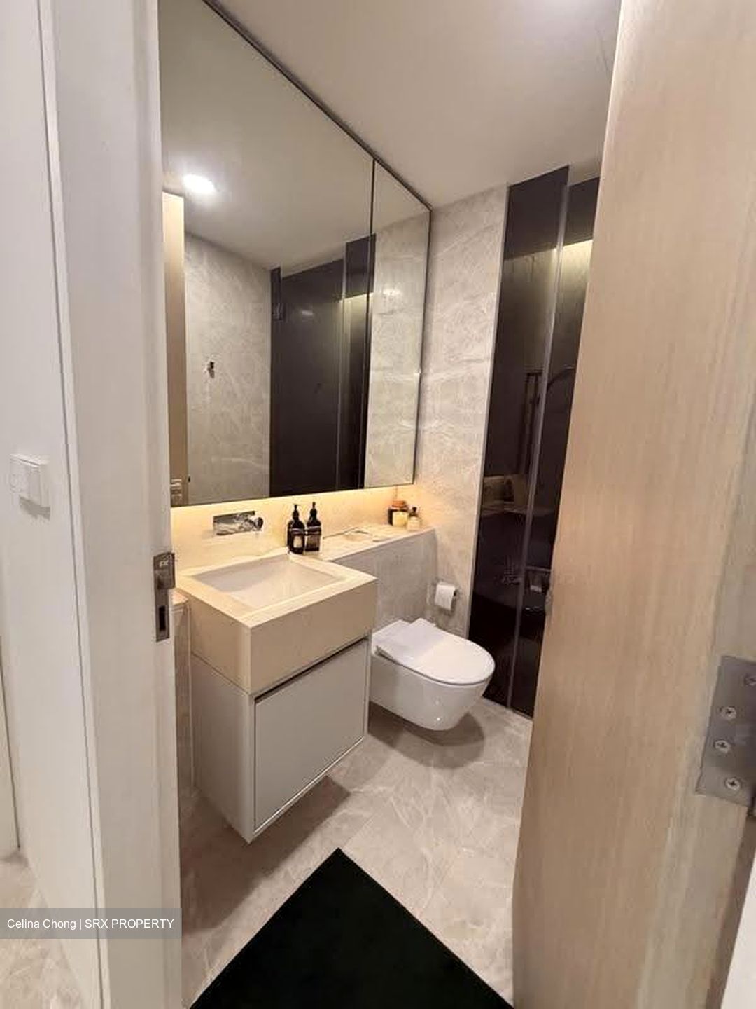 Amber Park (D15), Condominium #627401841